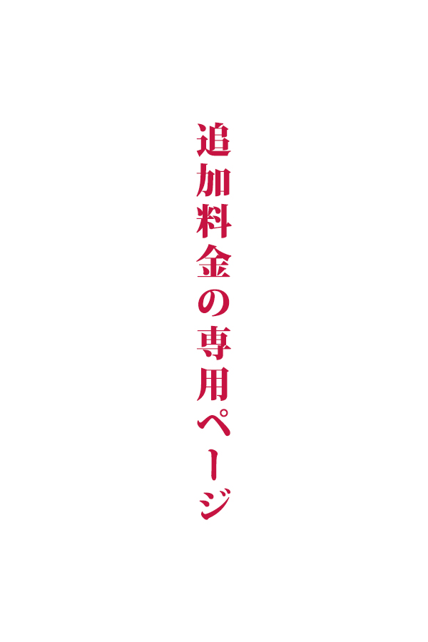 追加料金支払い専用